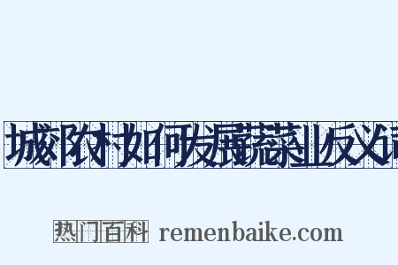 城郊农村如何发展蔬菜业反义词是什么意思的图片